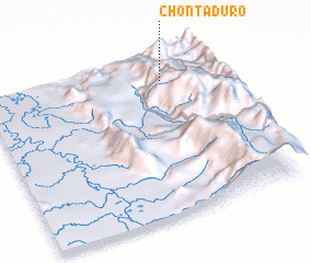 3d view of Chontaduro