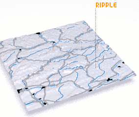3d view of Ripple