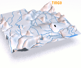 3d view of Tingo