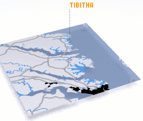 3d view of Tibitha