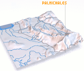 3d view of Palmichales