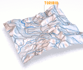 3d view of Toribío