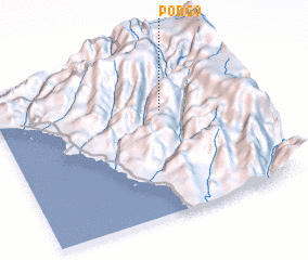 3d view of Pongo