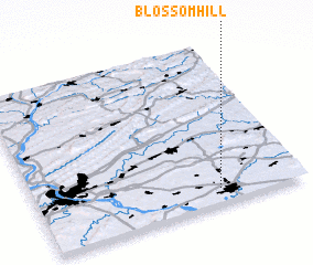 3d view of Blossom Hill