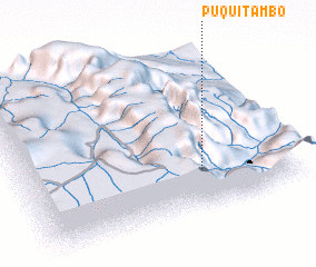 3d view of Puquitambo