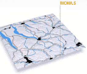 3d view of Nichols