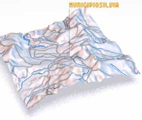 3d view of Municipio Silvia