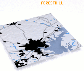 3d view of Forest Hill