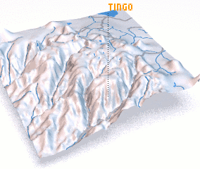 3d view of Tingo