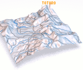 3d view of Totoró