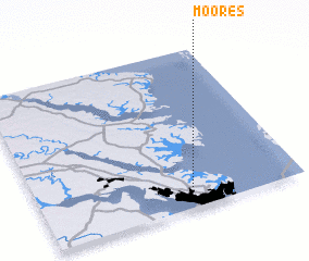 3d view of Moores