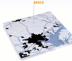 3d view of Bruce