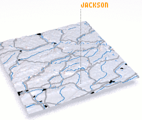 3d view of Jackson