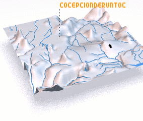 3d view of Cocepcion de Runtoc