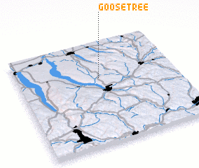 3d view of Goosetree