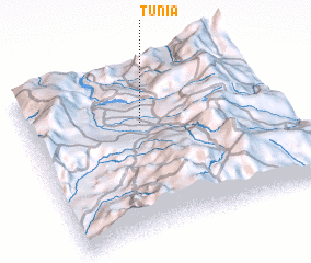 3d view of Tunía