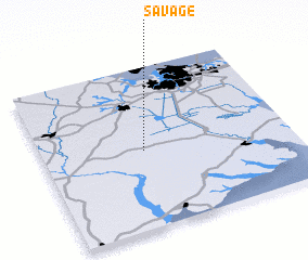 3d view of Savage