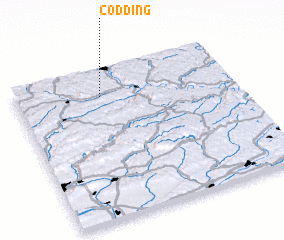 3d view of Codding