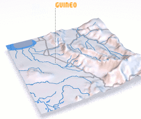 3d view of Guineo