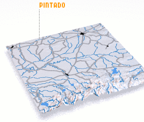 3d view of Pintado