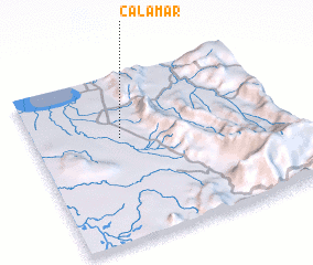 3d view of Calamar