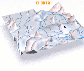 3d view of Chonta