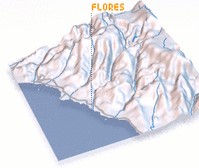 3d view of Flores