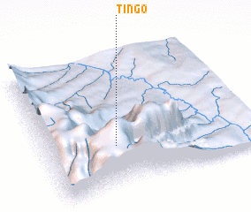 3d view of Tingo