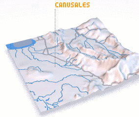 3d view of Cañusales