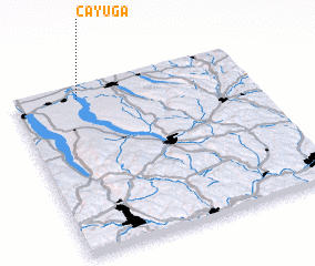 3d view of Cayuga