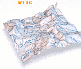 3d view of Betulia