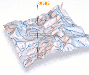 3d view of Rosas