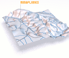 3d view of Miraflores