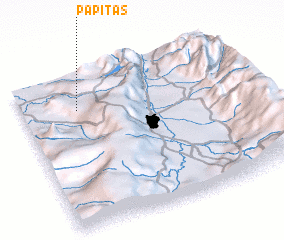 3d view of Papitas