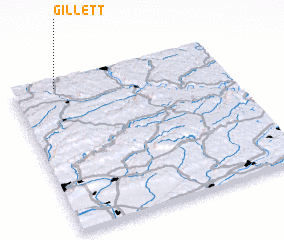 3d view of Gillett