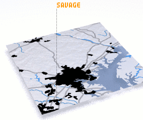 3d view of Savage