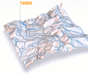 3d view of Tambo