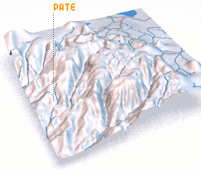 3d view of Pate