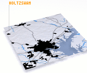 3d view of Holtzswam