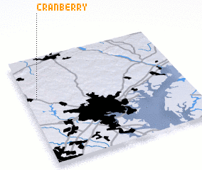 3d view of Cranberry