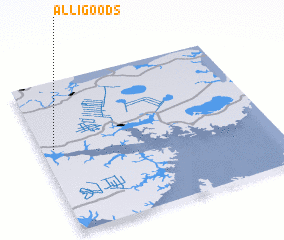 3d view of Alligoods