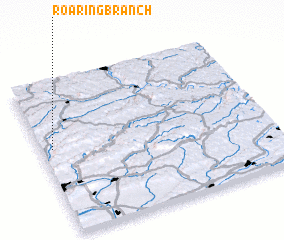 3d view of Roaring Branch