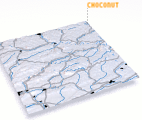 3d view of Choconut