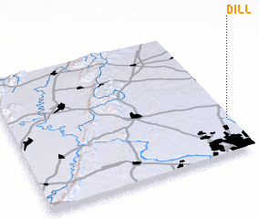 3d view of Dill