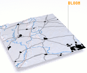 3d view of Bloom