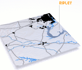 3d view of Ripley