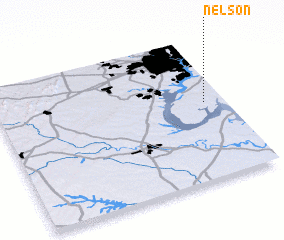 3d view of Nelson