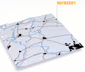 3d view of Mayberry