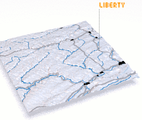 3d view of Liberty