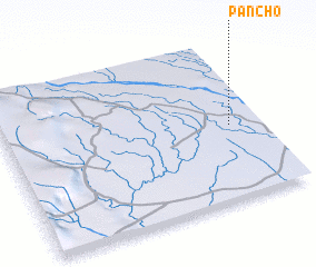 3d view of Pancho
